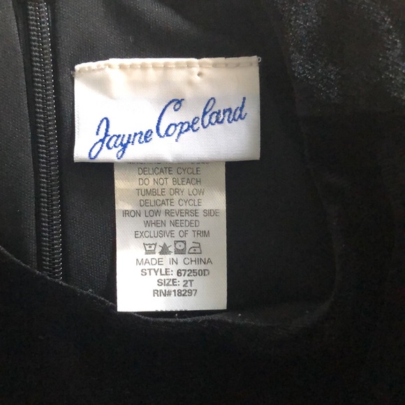 JANE COPELAND Toddler Girls Formal Dress - Picture 8 of 8